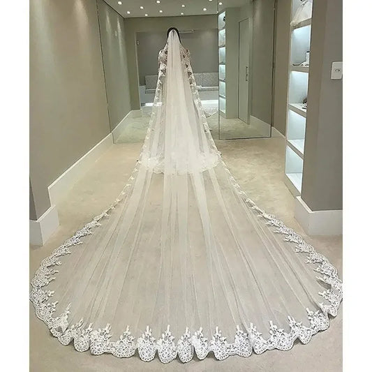 Long Tulle Wedding Veil Bridal Lace Delaring Veil 2024 Bridal Bride